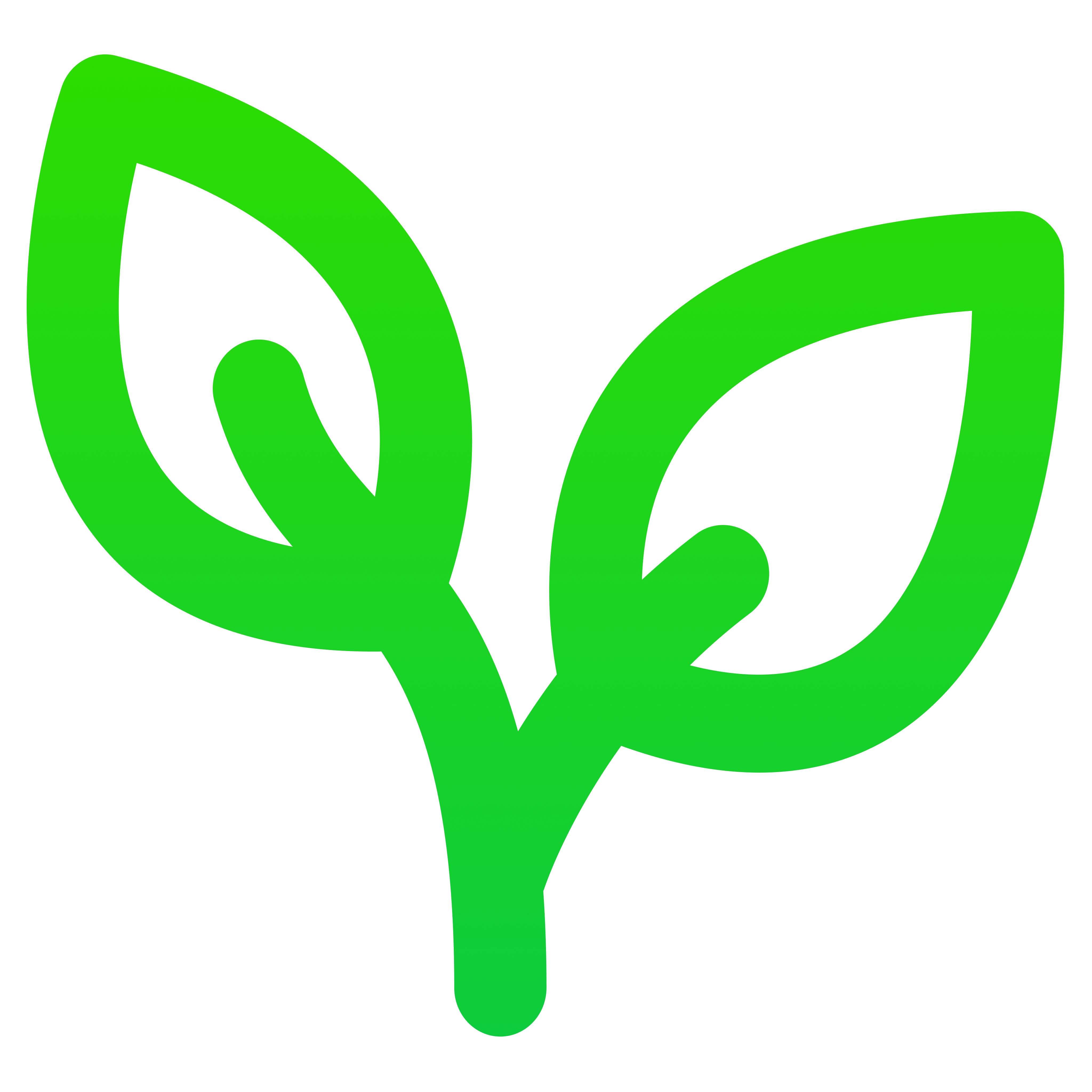 Organic